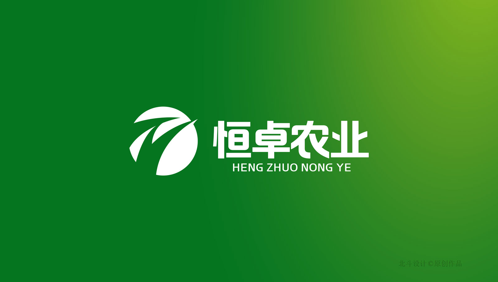 恒卓logo设计02.jpg